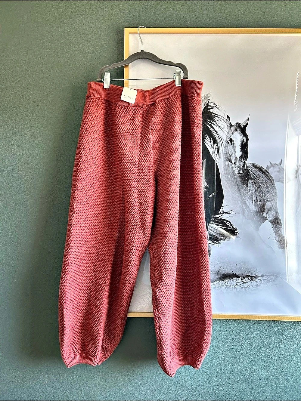 Free People NWT Sweater Pants Size Large NWT